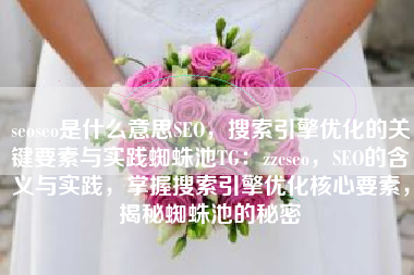 seoseo是什么意思SEO，搜索引擎优化的关键要素与实践蜘蛛池TG：zzcseo，SEO的含义与实践，掌握搜索引擎优化核心要素，揭秘蜘蛛池的秘密