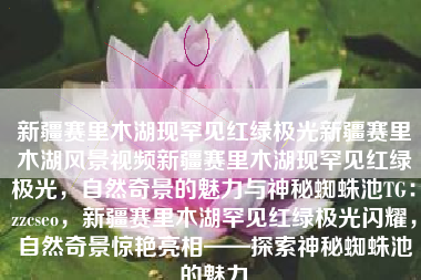新疆赛里木湖现罕见红绿极光新疆赛里木湖风景视频新疆赛里木湖现罕见红绿极光，自然奇景的魅力与神秘蜘蛛池TG：zzcseo，新疆赛里木湖罕见红绿极光闪耀，自然奇景惊艳亮相——探索神秘蜘蛛池的魅力