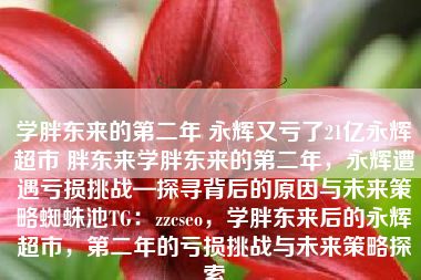 学胖东来的第二年 永辉又亏了21亿永辉超市 胖东来学胖东来的第二年，永辉遭遇亏损挑战—探寻背后的原因与未来策略蜘蛛池TG：zzcseo，学胖东来后的永辉超市，第二年的亏损挑战与未来策略探索