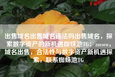 出售域名出售域名违法吗出售域名，探索数字资产的新机遇蜘蛛池TG：zzcseo，域名出售，合法性与数字资产新机遇探索，联系蜘蛛池TG