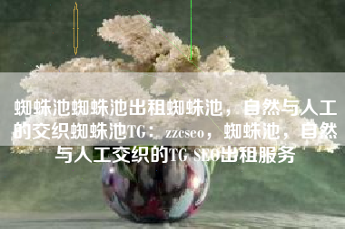 蜘蛛池蜘蛛池出租蜘蛛池，自然与人工的交织蜘蛛池TG：zzcseo，蜘蛛池，自然与人工交织的TG SEO出租服务