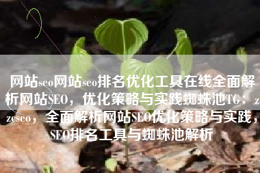 网站seo网站seo排名优化工具在线全面解析网站SEO，优化策略与实践蜘蛛池TG：zzcseo，全面解析网站SEO优化策略与实践，SEO排名工具与蜘蛛池解析