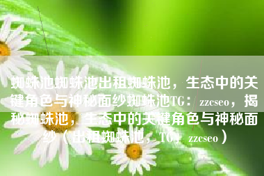 蜘蛛池蜘蛛池出租蜘蛛池，生态中的关键角色与神秘面纱蜘蛛池TG：zzcseo，揭秘蜘蛛池，生态中的关键角色与神秘面纱（出租蜘蛛池，TG，zzcseo）