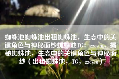 蜘蛛池蜘蛛池出租蜘蛛池，生态中的关键角色与神秘面纱蜘蛛池TG：zzcseo，揭秘蜘蛛池，生态中的关键角色与神秘面纱（出租蜘蛛池，TG，zzcseo）