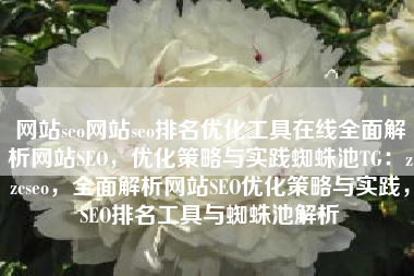 网站seo网站seo排名优化工具在线全面解析网站SEO，优化策略与实践蜘蛛池TG：zzcseo，全面解析网站SEO优化策略与实践，SEO排名工具与蜘蛛池解析