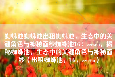 蜘蛛池蜘蛛池出租蜘蛛池，生态中的关键角色与神秘面纱蜘蛛池TG：zzcseo，揭秘蜘蛛池，生态中的关键角色与神秘面纱（出租蜘蛛池，TG，zzcseo）