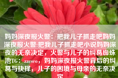 妈妈深夜报火警：把我儿子抓走吧妈妈深夜报火警:把我儿子抓走吧小说妈妈深夜的无奈决定，火警与儿子的纠葛蜘蛛池TG：zzcseo，妈妈深夜报火警背后的纠葛与抉择，儿子的困境与母亲的无奈决定
