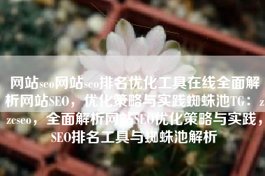 网站seo网站seo排名优化工具在线全面解析网站SEO，优化策略与实践蜘蛛池TG：zzcseo，全面解析网站SEO优化策略与实践，SEO排名工具与蜘蛛池解析