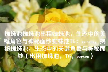 蜘蛛池蜘蛛池出租蜘蛛池，生态中的关键角色与神秘面纱蜘蛛池TG：zzcseo，揭秘蜘蛛池，生态中的关键角色与神秘面纱（出租蜘蛛池，TG，zzcseo）