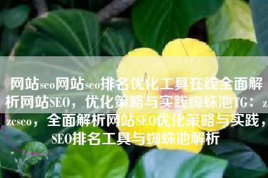 网站seo网站seo排名优化工具在线全面解析网站SEO，优化策略与实践蜘蛛池TG：zzcseo，全面解析网站SEO优化策略与实践，SEO排名工具与蜘蛛池解析