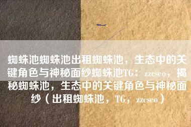 蜘蛛池蜘蛛池出租蜘蛛池，生态中的关键角色与神秘面纱蜘蛛池TG：zzcseo，揭秘蜘蛛池，生态中的关键角色与神秘面纱（出租蜘蛛池，TG，zzcseo）