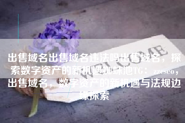 出售域名出售域名违法吗出售域名，探索数字资产的新机遇蜘蛛池TG：zzcseo，出售域名，数字资产的新机遇与法规边缘探索