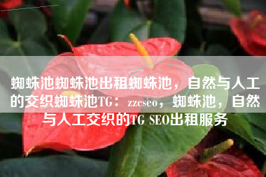 蜘蛛池蜘蛛池出租蜘蛛池，自然与人工的交织蜘蛛池TG：zzcseo，蜘蛛池，自然与人工交织的TG SEO出租服务