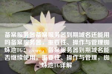 备案服务器备案服务器到期域名还能用吗备案服务器，重要性、操作与管理蜘蛛池TG：zzcseo，备案服务器到期域名能否继续使用，重要性、操作与管理，蜘蛛池TG详解
