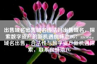 出售域名出售域名违法吗出售域名，探索数字资产的新机遇蜘蛛池TG：zzcseo，域名出售，合法性与数字资产新机遇探索，联系蜘蛛池TG