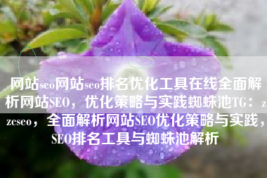 网站seo网站seo排名优化工具在线全面解析网站SEO，优化策略与实践蜘蛛池TG：zzcseo，全面解析网站SEO优化策略与实践，SEO排名工具与蜘蛛池解析