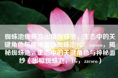 蜘蛛池蜘蛛池出租蜘蛛池，生态中的关键角色与神秘面纱蜘蛛池TG：zzcseo，揭秘蜘蛛池，生态中的关键角色与神秘面纱（出租蜘蛛池，TG，zzcseo）