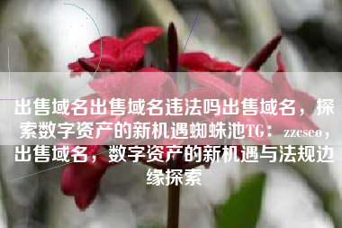 出售域名出售域名违法吗出售域名，探索数字资产的新机遇蜘蛛池TG：zzcseo，出售域名，数字资产的新机遇与法规边缘探索