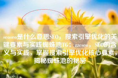 seoseo是什么意思SEO，搜索引擎优化的关键要素与实践蜘蛛池TG：zzcseo，SEO的含义与实践，掌握搜索引擎优化核心要素，揭秘蜘蛛池的秘密