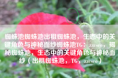 蜘蛛池蜘蛛池出租蜘蛛池，生态中的关键角色与神秘面纱蜘蛛池TG：zzcseo，揭秘蜘蛛池，生态中的关键角色与神秘面纱（出租蜘蛛池，TG，zzcseo）