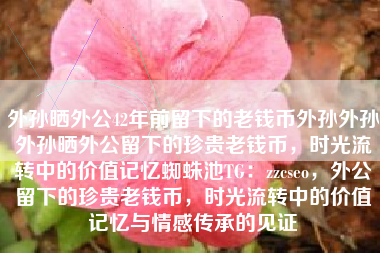 外孙晒外公42年前留下的老钱币外孙外孙外孙晒外公留下的珍贵老钱币，时光流转中的价值记忆蜘蛛池TG：zzcseo，外公留下的珍贵老钱币，时光流转中的价值记忆与情感传承的见证