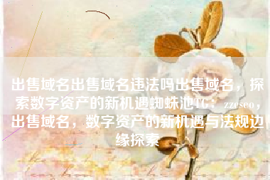 出售域名出售域名违法吗出售域名，探索数字资产的新机遇蜘蛛池TG：zzcseo，出售域名，数字资产的新机遇与法规边缘探索