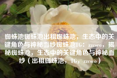 蜘蛛池蜘蛛池出租蜘蛛池，生态中的关键角色与神秘面纱蜘蛛池TG：zzcseo，揭秘蜘蛛池，生态中的关键角色与神秘面纱（出租蜘蛛池，TG，zzcseo）