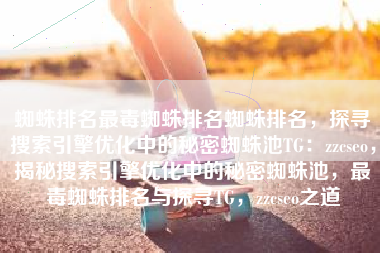 蜘蛛排名最毒蜘蛛排名蜘蛛排名，探寻搜索引擎优化中的秘密蜘蛛池TG：zzcseo，揭秘搜索引擎优化中的秘密蜘蛛池，最毒蜘蛛排名与探寻TG，zzcseo之道