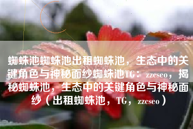 蜘蛛池蜘蛛池出租蜘蛛池，生态中的关键角色与神秘面纱蜘蛛池TG：zzcseo，揭秘蜘蛛池，生态中的关键角色与神秘面纱（出租蜘蛛池，TG，zzcseo）