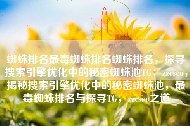 蜘蛛排名最毒蜘蛛排名蜘蛛排名，探寻搜索引擎优化中的秘密蜘蛛池TG：zzcseo，揭秘搜索引擎优化中的秘密蜘蛛池，最毒蜘蛛排名与探寻TG，zzcseo之道