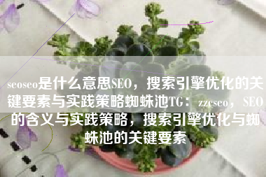 seoseo是什么意思SEO，搜索引擎优化的关键要素与实践策略蜘蛛池TG：zzcseo，SEO的含义与实践策略，搜索引擎优化与蜘蛛池的关键要素