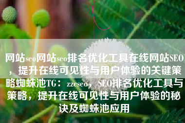 网站seo网站seo排名优化工具在线网站SEO，提升在线可见性与用户体验的关键策略蜘蛛池TG：zzcseo，SEO排名优化工具与策略，提升在线可见性与用户体验的秘诀及蜘蛛池应用