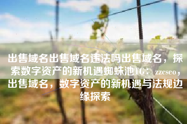 出售域名出售域名违法吗出售域名，探索数字资产的新机遇蜘蛛池TG：zzcseo，出售域名，数字资产的新机遇与法规边缘探索