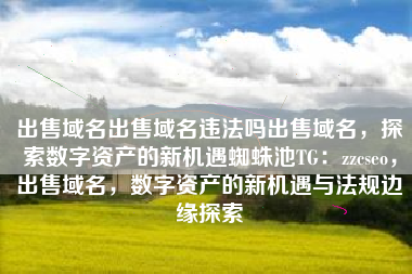 出售域名出售域名违法吗出售域名，探索数字资产的新机遇蜘蛛池TG：zzcseo，出售域名，数字资产的新机遇与法规边缘探索