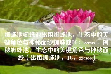 蜘蛛池蜘蛛池出租蜘蛛池，生态中的关键角色与神秘面纱蜘蛛池TG：zzcseo，揭秘蜘蛛池，生态中的关键角色与神秘面纱（出租蜘蛛池，TG，zzcseo）