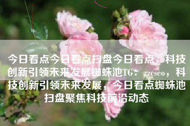 今日看点今日看点扫盘今日看点，科技创新引领未来发展蜘蛛池TG：zzcseo，科技创新引领未来发展，今日看点蜘蛛池扫盘聚焦科技前沿动态