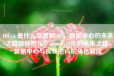 IDCidc是什么意思啊IDC，数据中心的未来之路蜘蛛池TG：zzcseo，IDC的未来之路，数据中心与蜘蛛池TG的角色解读