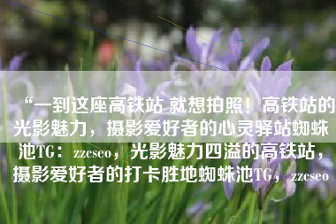“一到这座高铁站 就想拍照！高铁站的光影魅力，摄影爱好者的心灵驿站蜘蛛池TG：zzcseo，光影魅力四溢的高铁站，摄影爱好者的打卡胜地蜘蛛池TG，zzcseo
