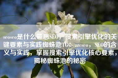seoseo是什么意思SEO，搜索引擎优化的关键要素与实践蜘蛛池TG：zzcseo，SEO的含义与实践，掌握搜索引擎优化核心要素，揭秘蜘蛛池的秘密