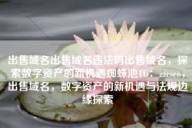 出售域名出售域名违法吗出售域名，探索数字资产的新机遇蜘蛛池TG：zzcseo，出售域名，数字资产的新机遇与法规边缘探索