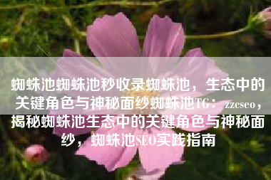 蜘蛛池蜘蛛池秒收录蜘蛛池，生态中的关键角色与神秘面纱蜘蛛池TG：zzcseo，揭秘蜘蛛池生态中的关键角色与神秘面纱，蜘蛛池SEO实践指南