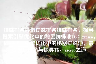 蜘蛛排名最毒蜘蛛排名蜘蛛排名，探寻搜索引擎优化中的秘密蜘蛛池TG：zzcseo，揭秘搜索引擎优化中的秘密蜘蛛池，最毒蜘蛛排名与探寻TG，zzcseo之道