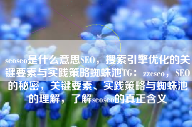 seoseo是什么意思SEO，搜索引擎优化的关键要素与实践策略蜘蛛池TG：zzcseo，SEO的秘密，关键要素、实践策略与蜘蛛池的理解，了解seoseo的真正含义