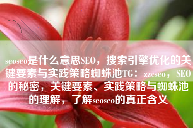 seoseo是什么意思SEO，搜索引擎优化的关键要素与实践策略蜘蛛池TG：zzcseo，SEO的秘密，关键要素、实践策略与蜘蛛池的理解，了解seoseo的真正含义