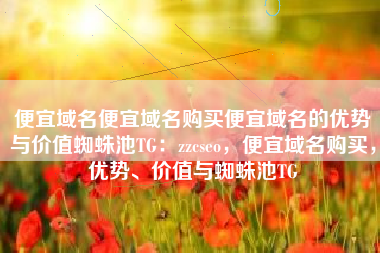 便宜域名便宜域名购买便宜域名的优势与价值蜘蛛池TG：zzcseo，便宜域名购买，优势、价值与蜘蛛池TG