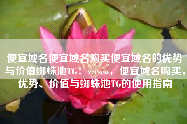 便宜域名便宜域名购买便宜域名的优势与价值蜘蛛池TG：zzcseo，便宜域名购买，优势、价值与蜘蛛池TG的使用指南