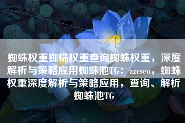 蜘蛛权重蜘蛛权重查询蜘蛛权重，深度解析与策略应用蜘蛛池TG：zzcseo，蜘蛛权重深度解析与策略应用，查询、解析蜘蛛池TG