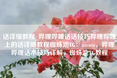 话详细教程_哔哩哔哩话话技巧哔哩哔哩上的话详细教程蜘蛛池TG：zzcseo，哔哩哔哩话术技巧详解，蜘蛛池TG教程