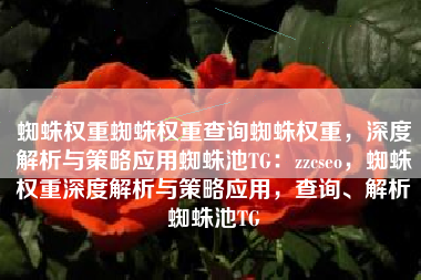 蜘蛛权重蜘蛛权重查询蜘蛛权重，深度解析与策略应用蜘蛛池TG：zzcseo，蜘蛛权重深度解析与策略应用，查询、解析蜘蛛池TG