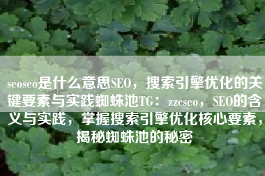 seoseo是什么意思SEO，搜索引擎优化的关键要素与实践蜘蛛池TG：zzcseo，SEO的含义与实践，掌握搜索引擎优化核心要素，揭秘蜘蛛池的秘密